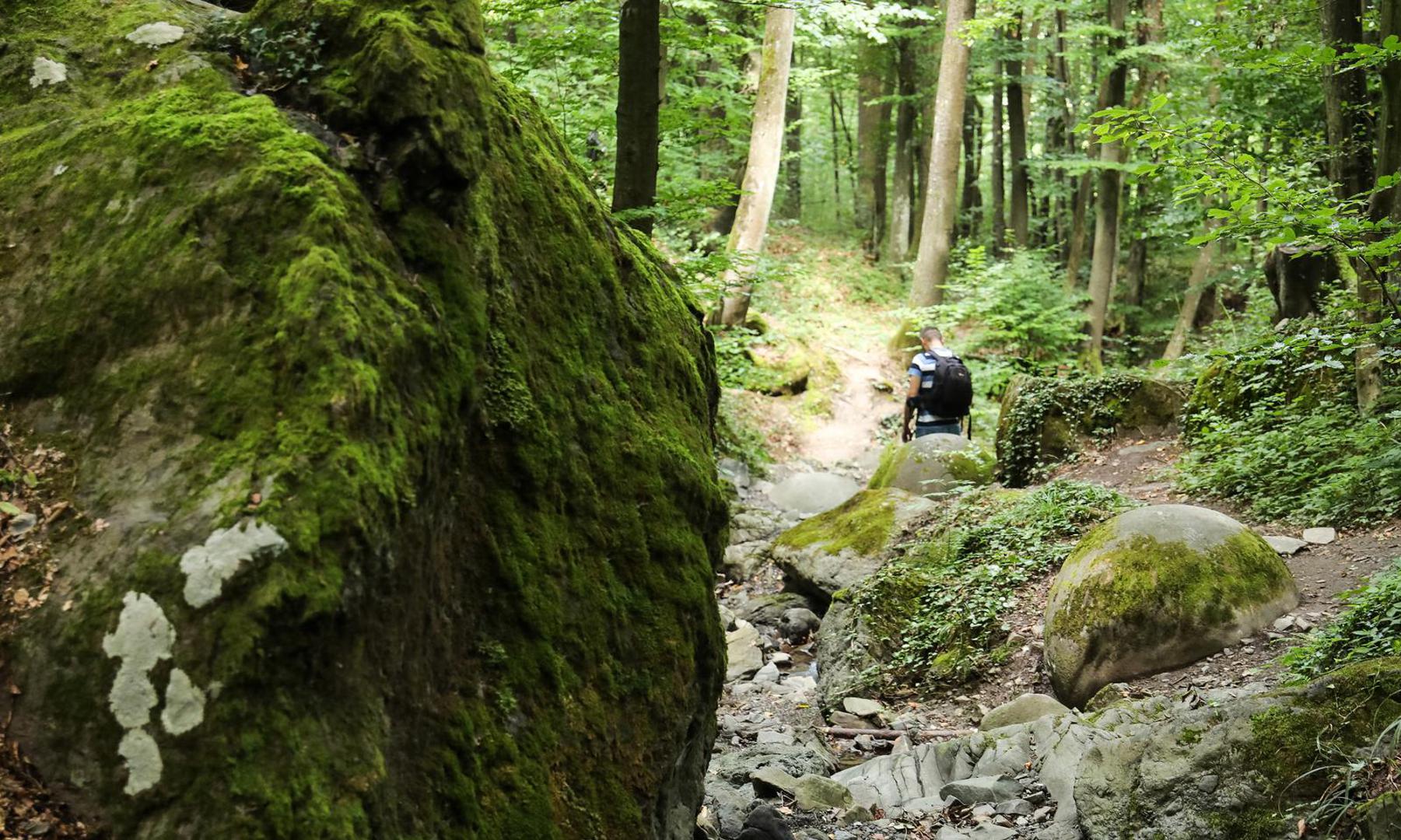 09.08.2023., Zavidovici, Bosna i Hercegovina moze se pohvaliti necim sto se moze pronaci na jos vrlo malo lokacija u svijetu, kamenim kuglama u Zavidovicima. Ovo najvece nalaziste kamenih kugli u Europi, i najmisterioznije mjesto u citavoj zemlji, s obzirom na to da niko sa sigurnoscu ne moze reci kako su ove kugle savrseno preciznog oblika, koje izgledaju kao da ih je neko nacrtao, dospjele na ovo mjesto. Do danas ih je pronadjeno oko 60, od kojih je 11 sacuvano u odlicnom stanju i sve su poredane uz potok u sumi i nalaze se blizu jedna druge. Vjeruje se kako su kamene kugle veliki izvor pozitivne energije a vec slicne postoje u Meksiku, Kostarici i nekim drugim zemljama Juzne Amerike. Photo: Emica Elvedji/PIXSELL