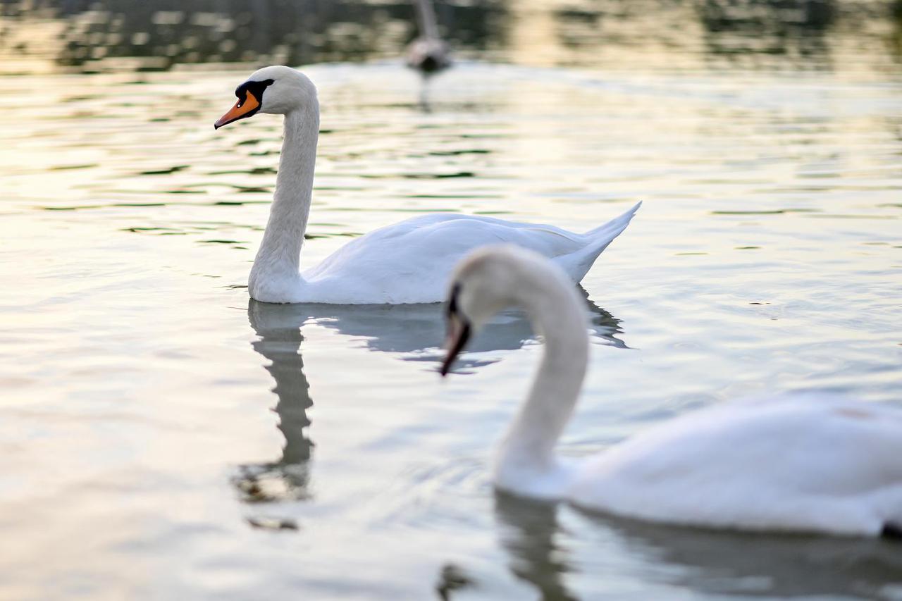 Poslijepodne na jezeru Bundek