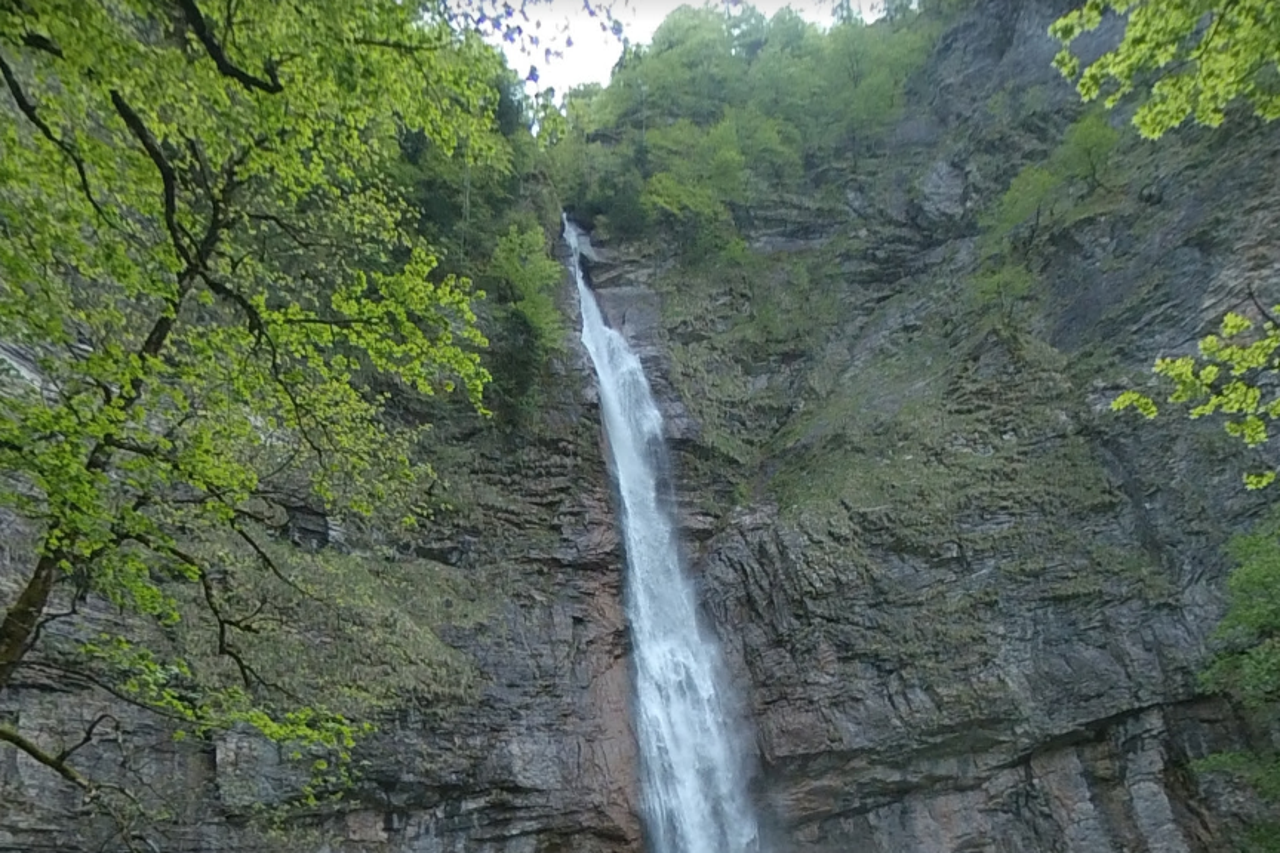 Prašuma Perućica