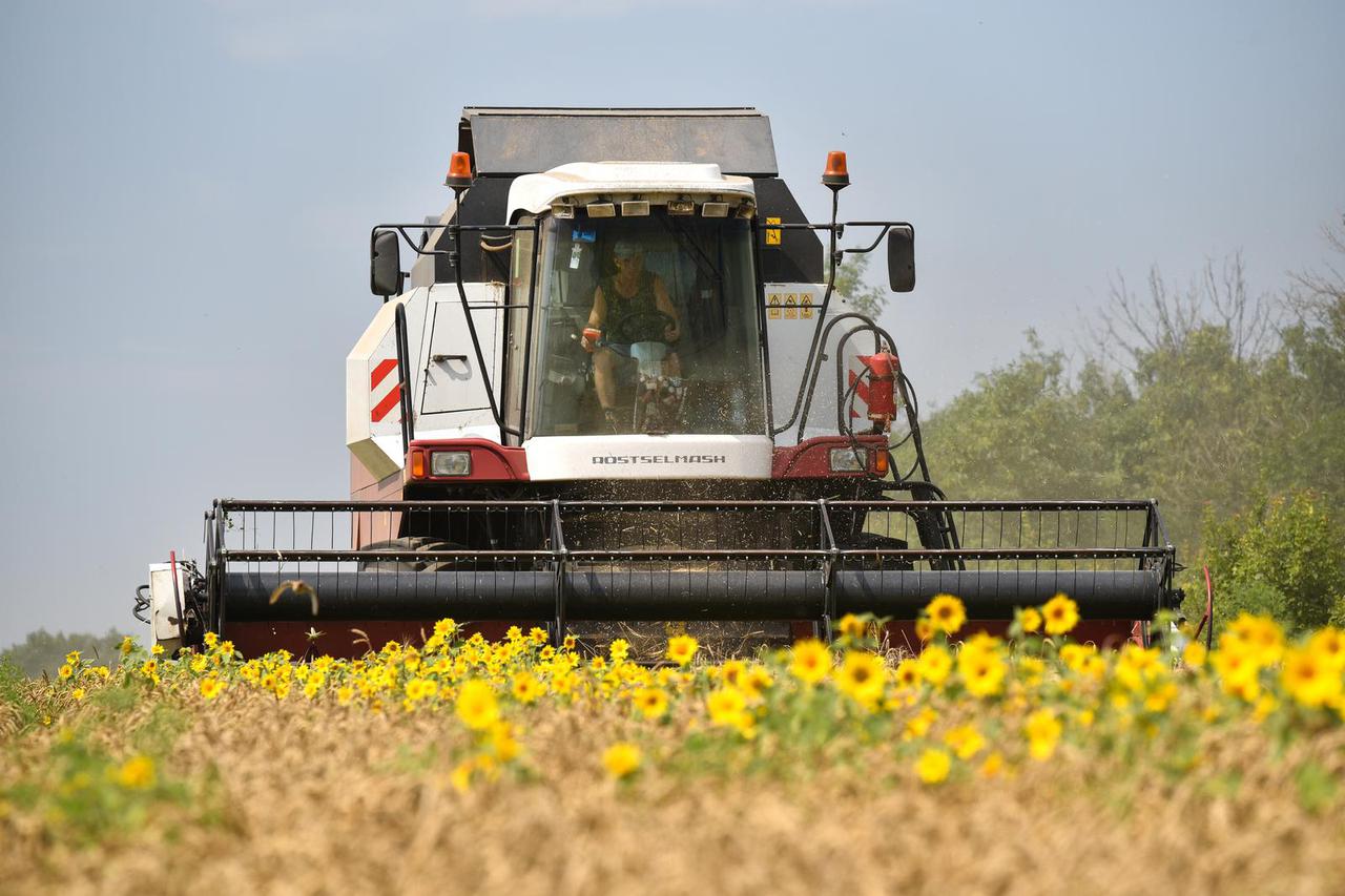 Wheat harvest in Donetsk Region, Ukraine