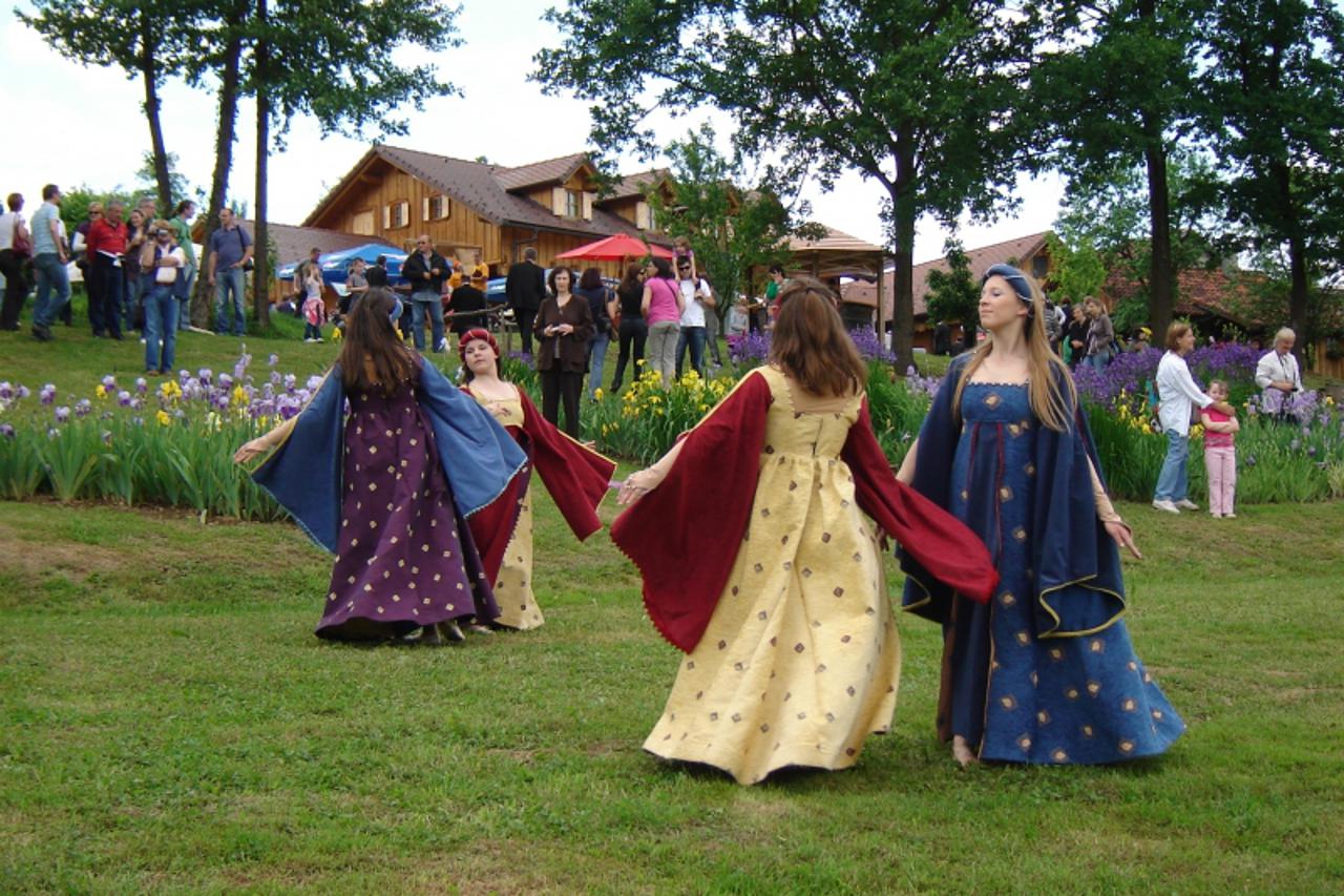 'Zagorje, Donja Stubica, nastupile su i balerine plesnog studija Vindi iz Varaždina, snimio: Mladen Kukas'