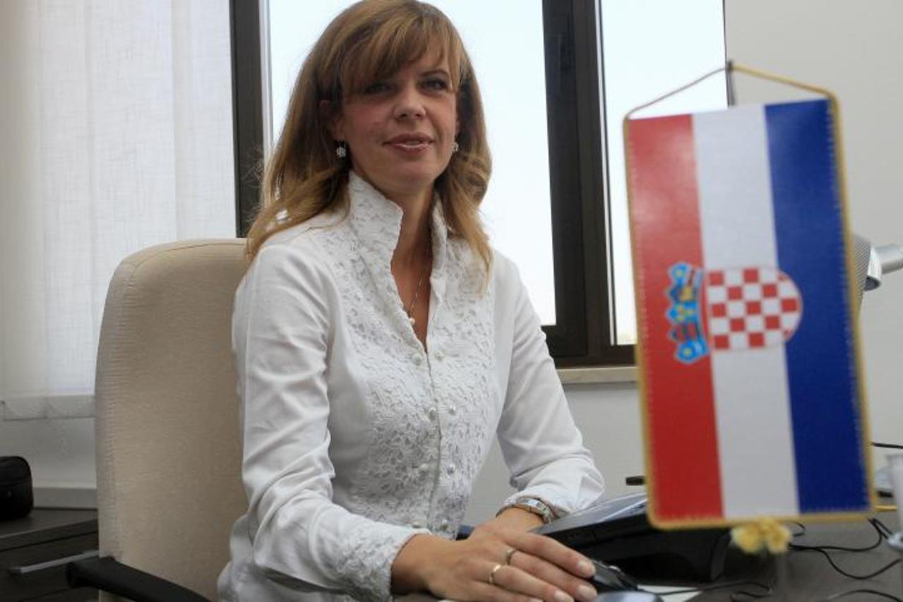 '30.08.2013., Osijek - Zastupnica u Europskom parlamentu Biljana Borzan ustrojila je lokalni ured u cilju sto kvalitetnijeg rada i priblizavanja gradjanima. Na konferenciji za novinare predstavila je 