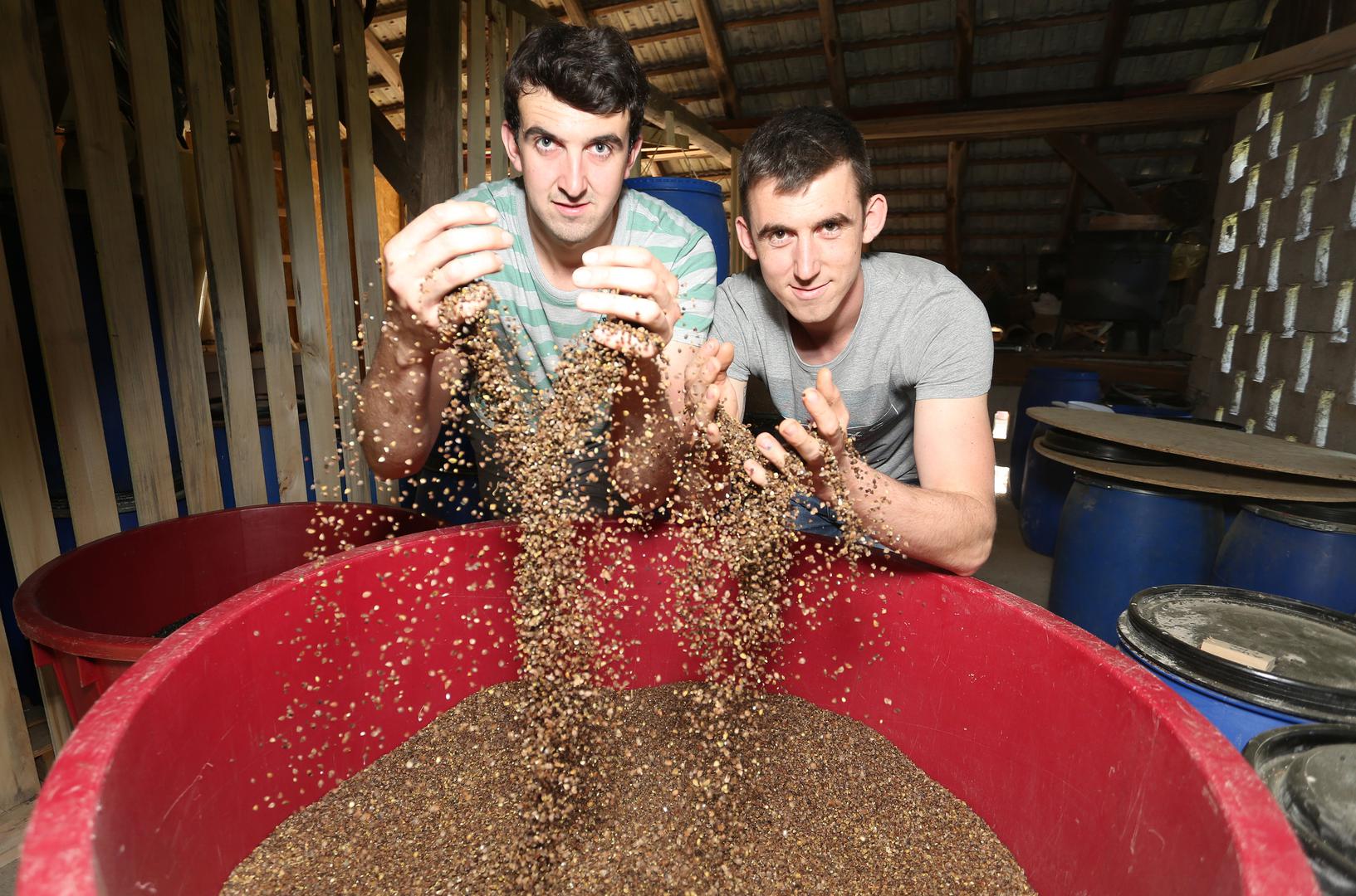 U Veselićima u općini Ribnik Jože Želježnjak (desno) i njegov brat Robert uzgajaju industrijsku konoplju, prave ulja, brašna, kaše...