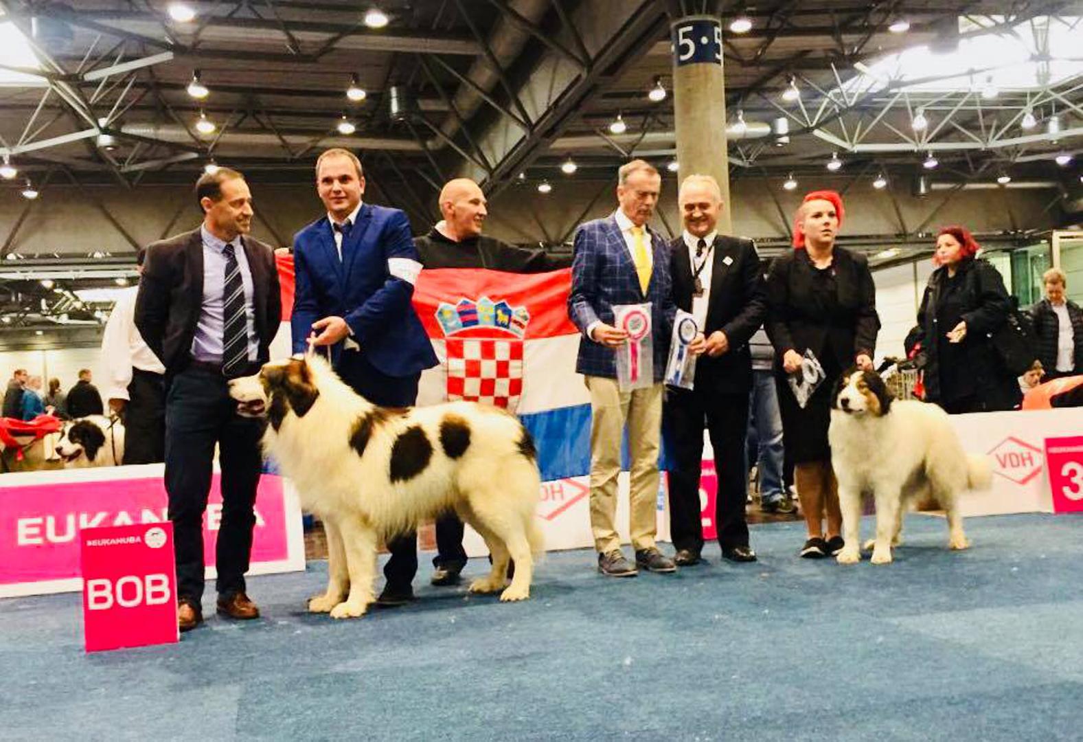 Najljepši pas pasmine (CACIB, BOB) među tornjacima bio je Sandi Ljupkovi tornjaci, uzgajivač i vlasnik Ljupko Marinčić, a najljepša ženka
(CAC, CACIB) Suki Hrvatska Dika, uzgajivači i vlasnici Josipa i Marko Vojić