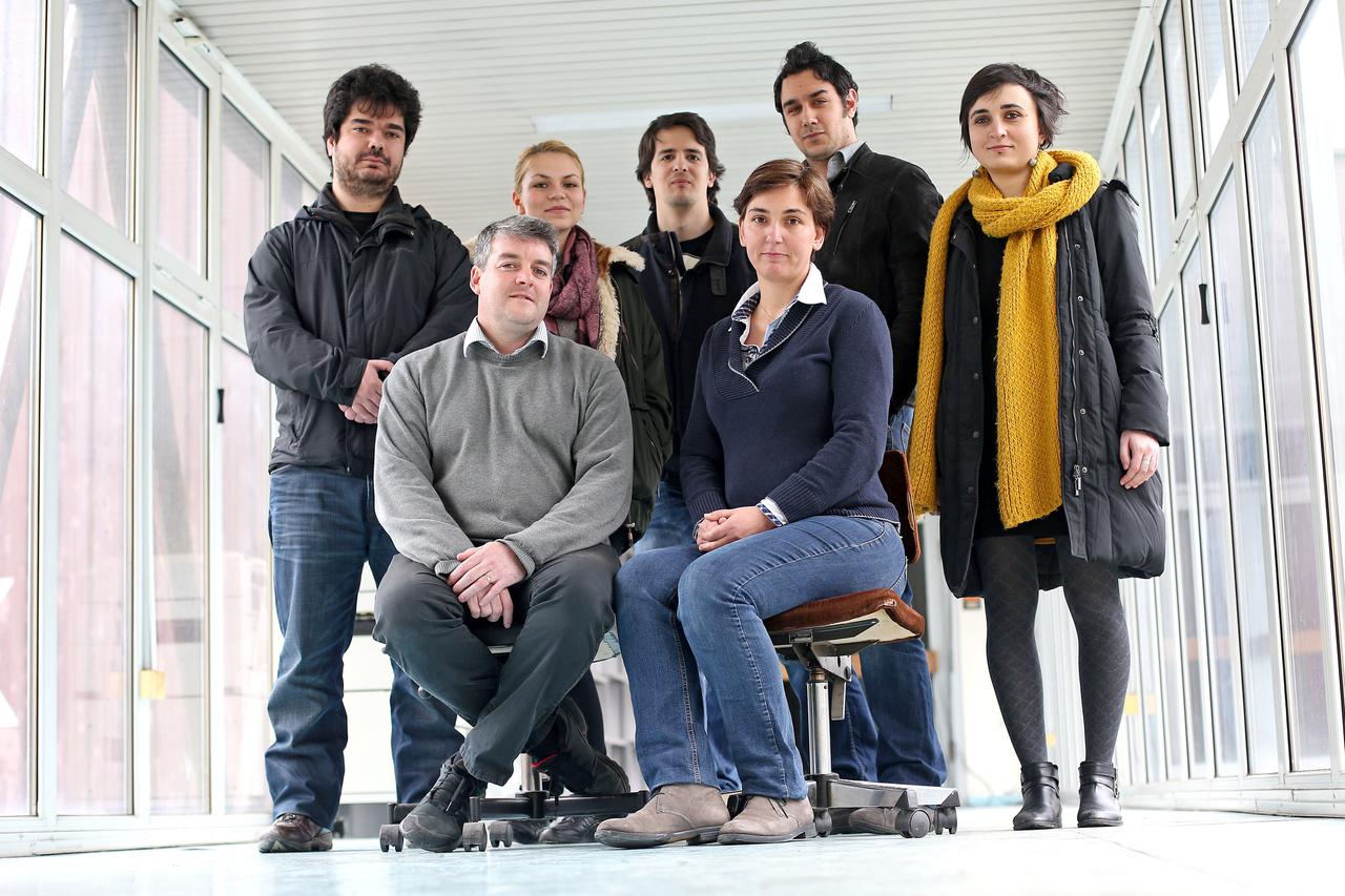 Institut Ruđer Bošković