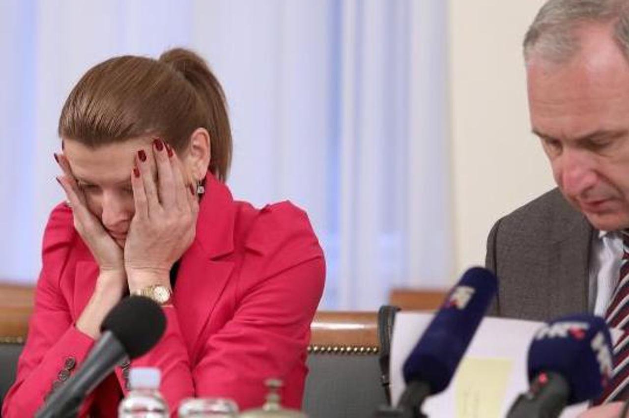 Odbor za obrazovanje, znanost i kulturu, reiner, opara, glasovac