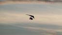 Hang Glider Crashes in Slavonia, One Person Injured