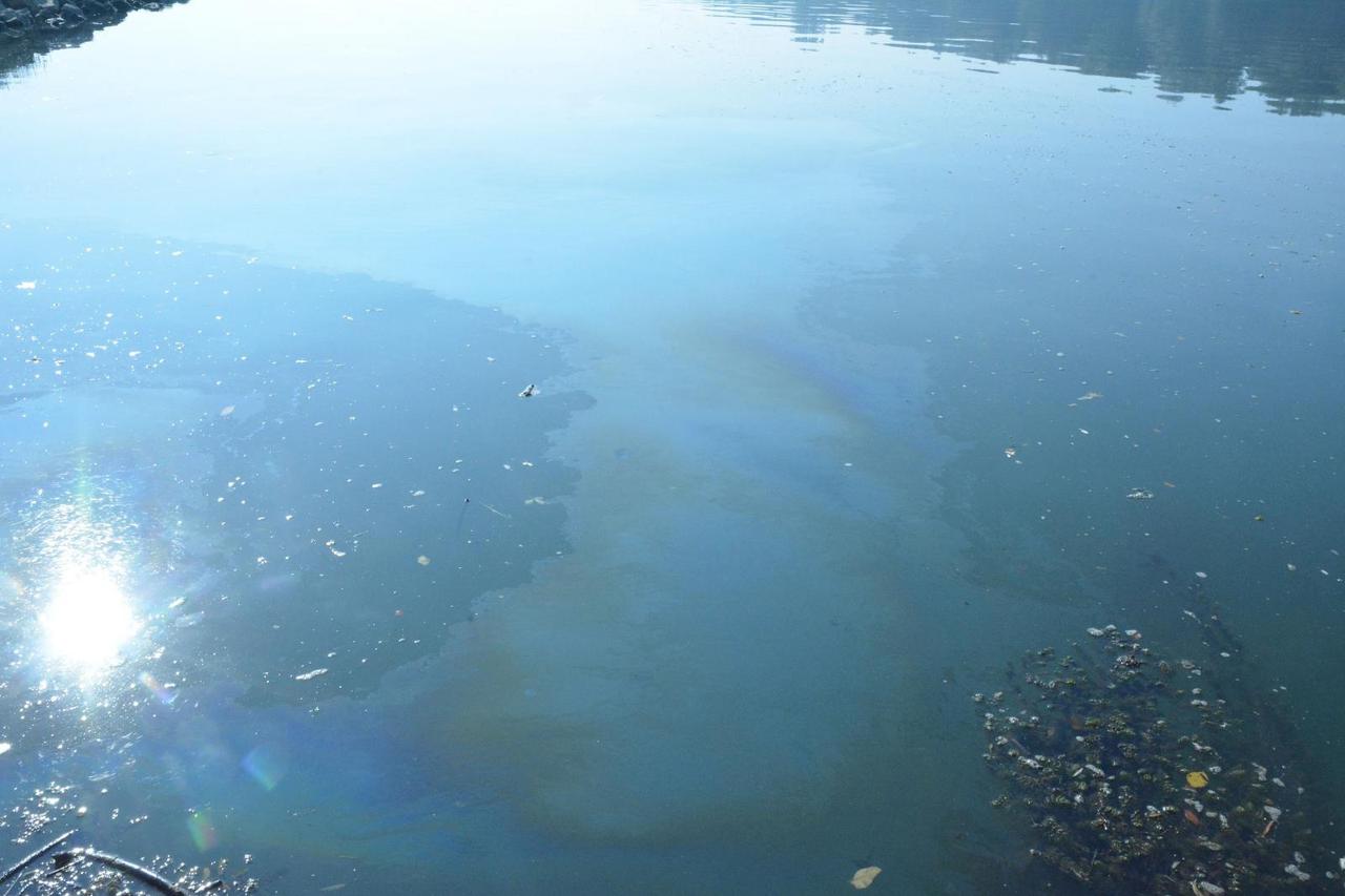 Naftna mrlja na Savi kod Slavonskog Broda