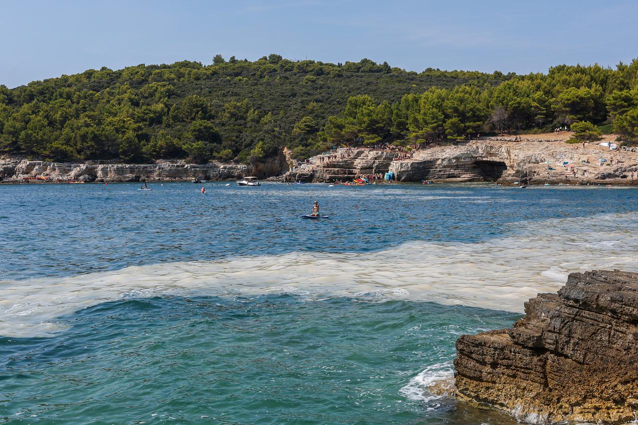 Cvjetanje mora na plažama u Puli