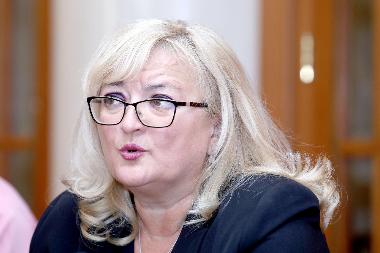 Ines Strenja-Linić predstavila Parlametar