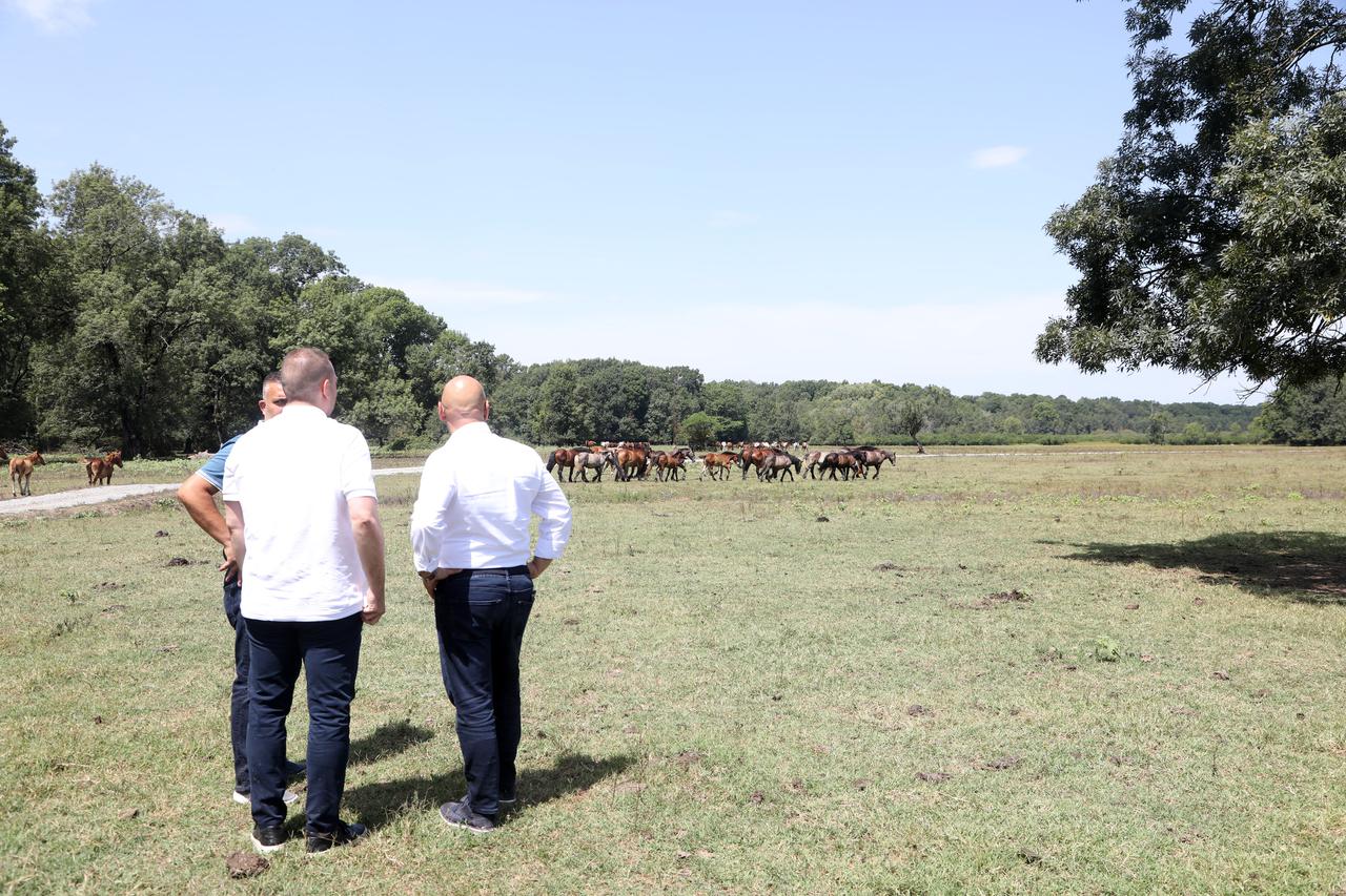Popovača: Ministar David Vlajčić susreo se sa stočarima koji su 2022. pretrpjeli štetu nakon izbijanja zarazne bolesti bedrenice