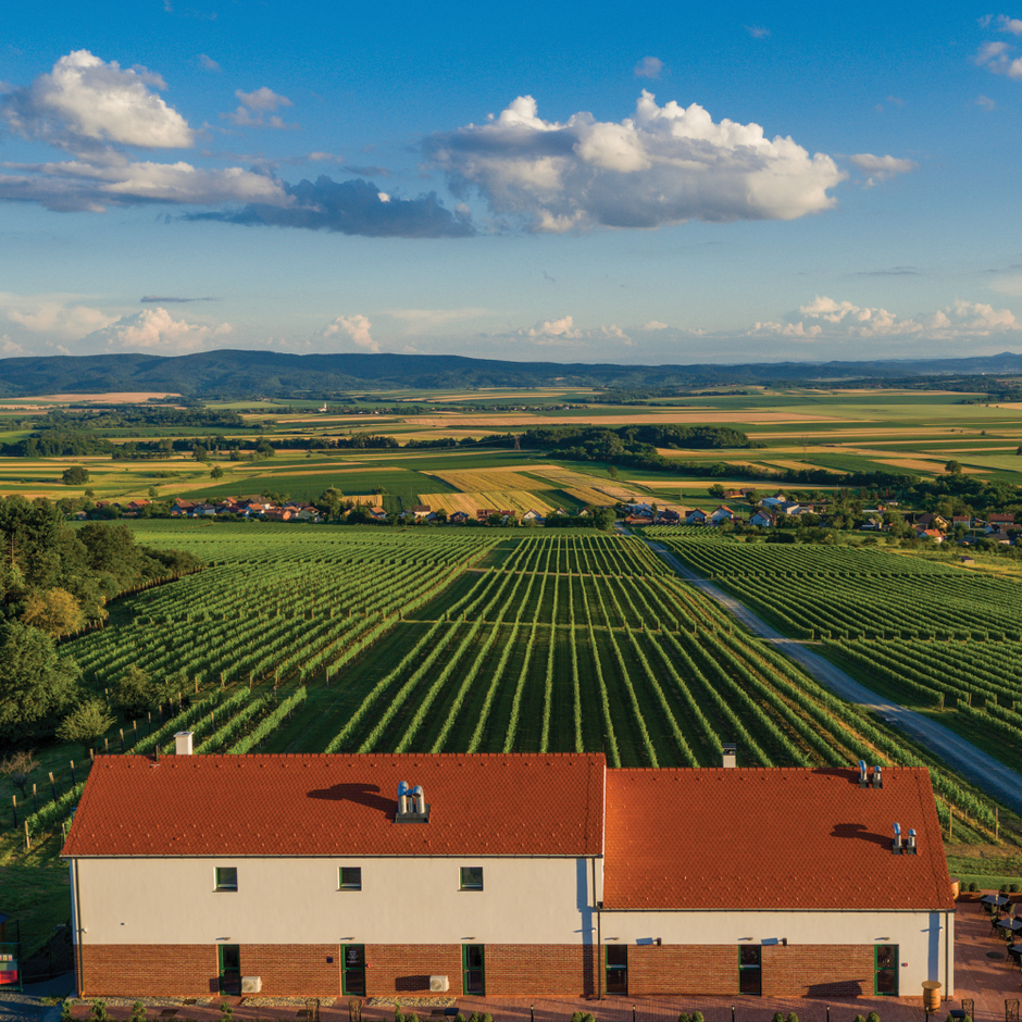 Slavonska kuća Vinkomir