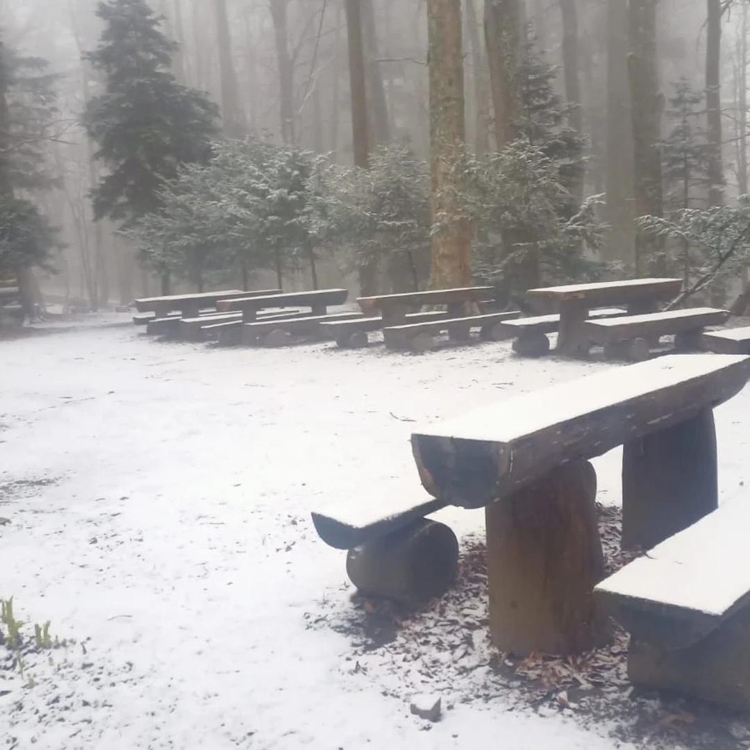 Sutra, umjereno do pretežno oblačno, uglavnom u drugom dijelu dana povremeno uz kišu. Vjetar slab do umjeren južni i jugoistočni. Najniža jutarnja temperatura od 2 u okolici do 5 u središtu grada, a najviša dnevna između 10 i 12 °C.