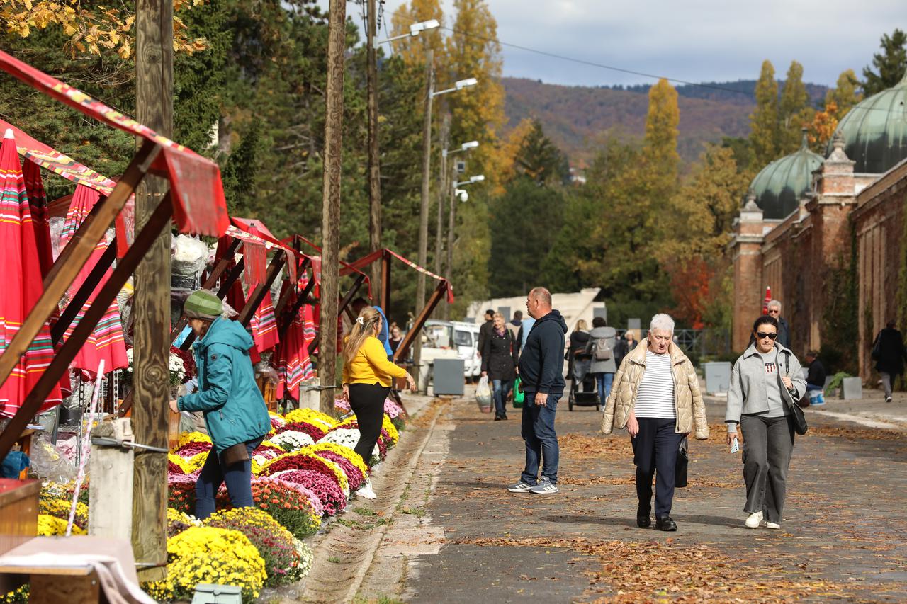 Zagreb: Hrvoje Klasić, povjesničar