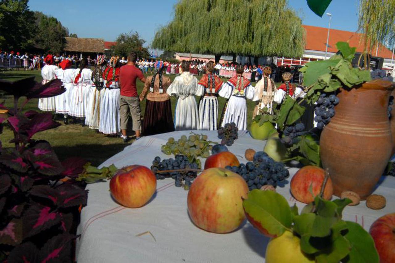 Beravci ižimanje (1)