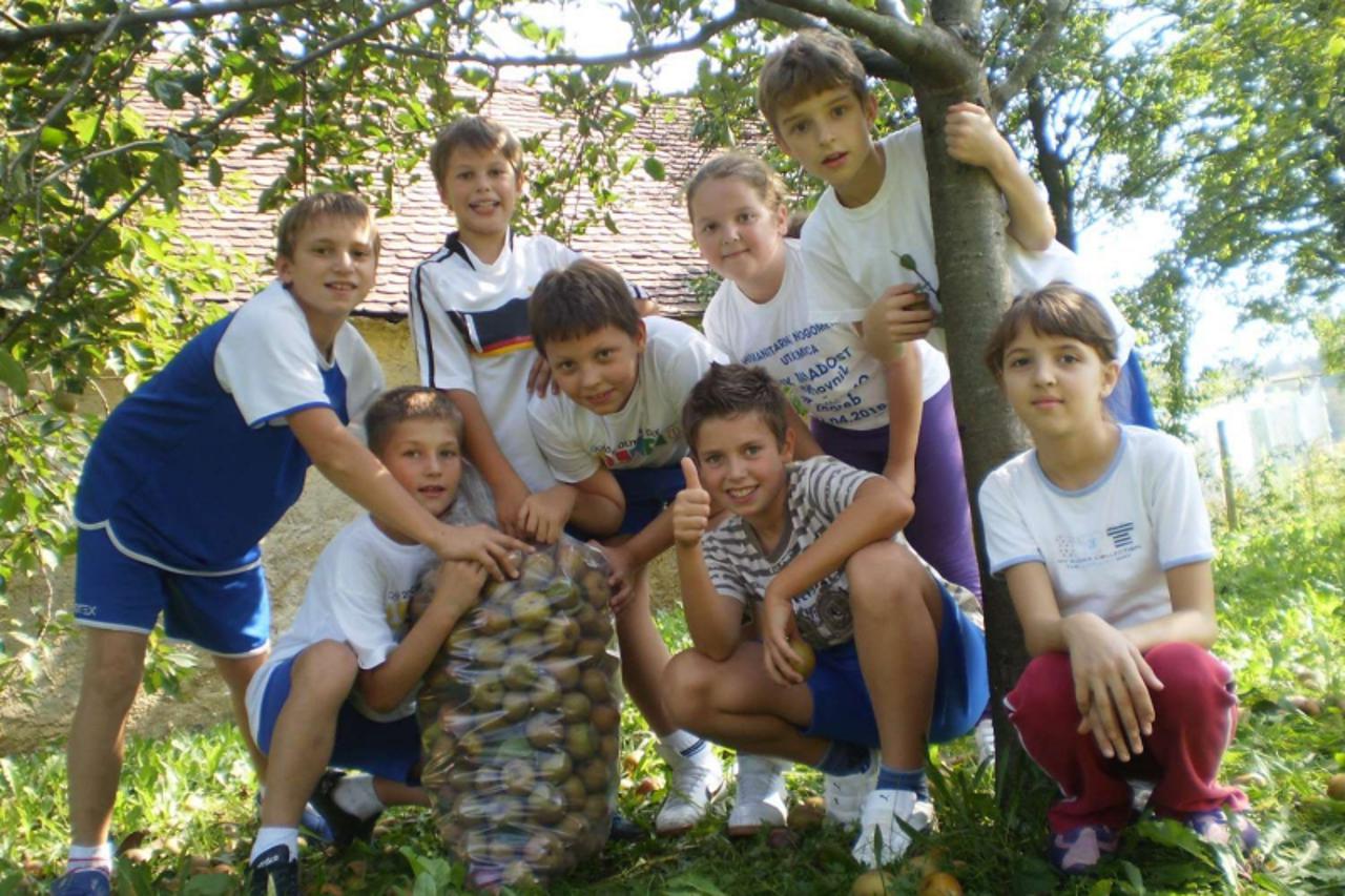 'Var Ð 30. 09. 2010., Klenovnik Ð Vesela berba jabuka u skolskom vocnjaku  PHOTO:  Ljiljana Risek    '