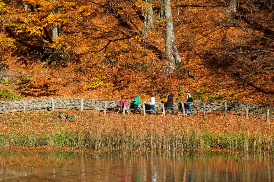 Lagana šetnja kroz park šumu Jankovac
