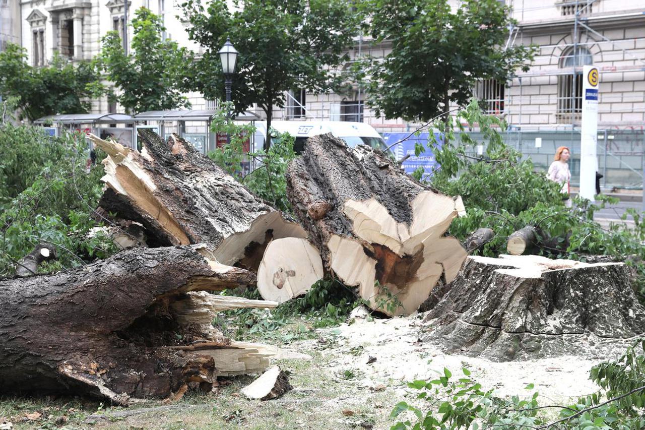 Odluka Grada Zagreba: Stabla srušena u nevremenu dijelit ćemo za ogrjev  najpotrebitijima - Večernji.hr