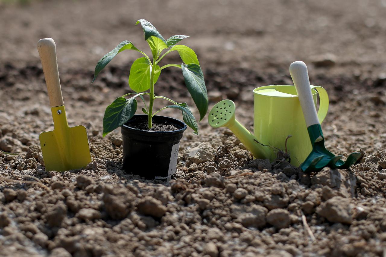 Urbani vrtovi u naselju Prečko