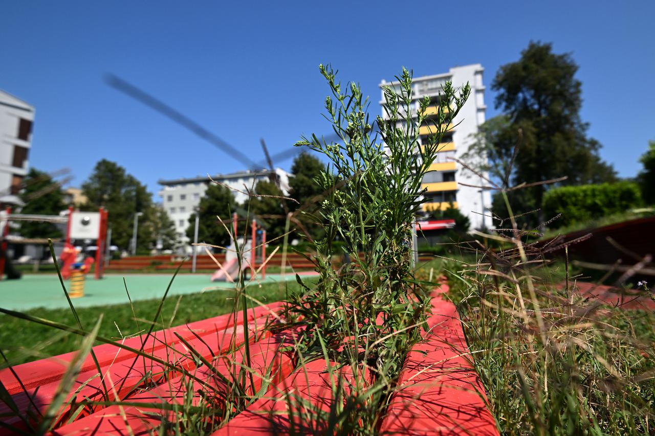 Zagreb: Dječji park na Selskoj zatvoren zbog opasnosti od pada grana