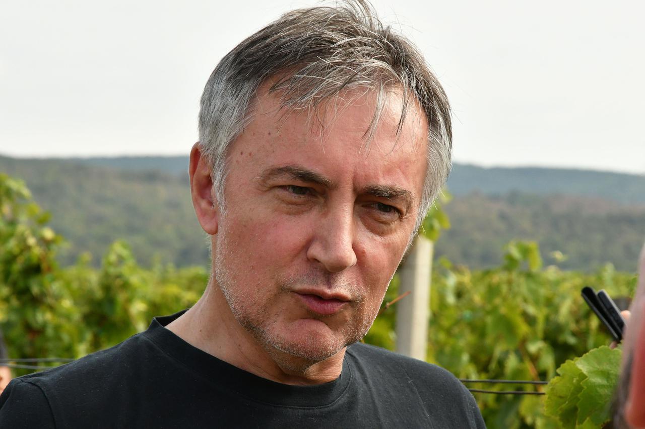 Miroslav Škoro