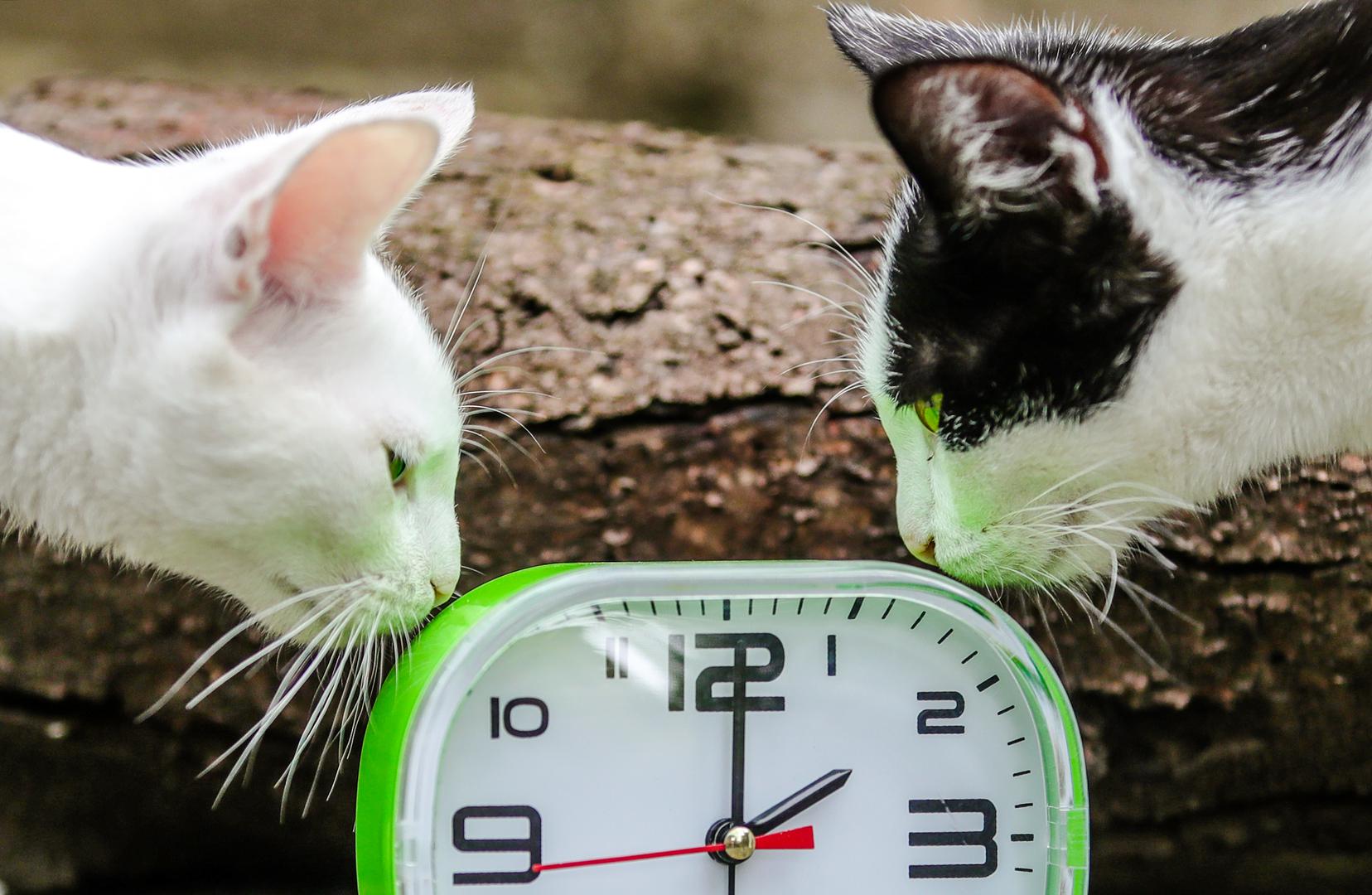 U Europi, osim članica EU, sat pomiču i naši susjedi poput Bosne i Hercegovine i Srbije. Ipak, kontinent ima i svoje iznimke. Island, zbog svog sjevernog položaja s ekstremnim varijacijama dnevnog svjetla, nikada ne mijenja vrijeme. Rusija je 2014. godine trajno prešla na standardno ("zimsko") vrijeme, dok je Turska dvije godine kasnije odlučila ostati na ljetnom računanju tijekom cijele godine. Na sjevernoameričkom kontinentu, većina Sjedinjenih Američkih Država i Kanade slijedi ovaj običaj, ali ne sve. Savezne države Arizona (uz iznimku naroda Navajo) i Havaji, kao i kanadske provincije Saskatchewan i Yukon, ostaju vjerne istom vremenu cijele godine, što se može provjeriti na stranicama kao što je Time and Date. Čak je i Meksiko 2022. godine ukinuo ljetno vrijeme za veći dio zemlje.