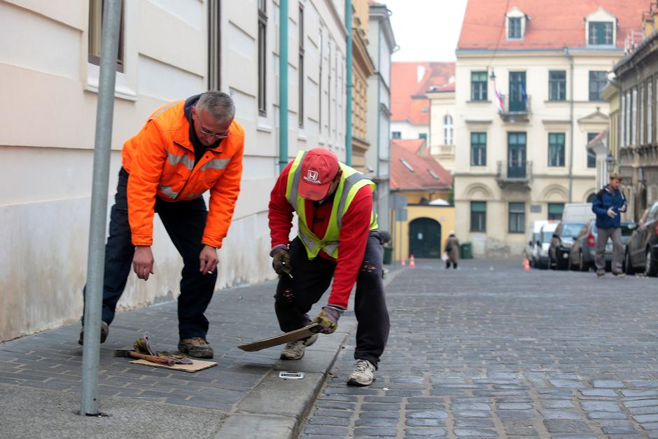 Mesnička katadiopteri