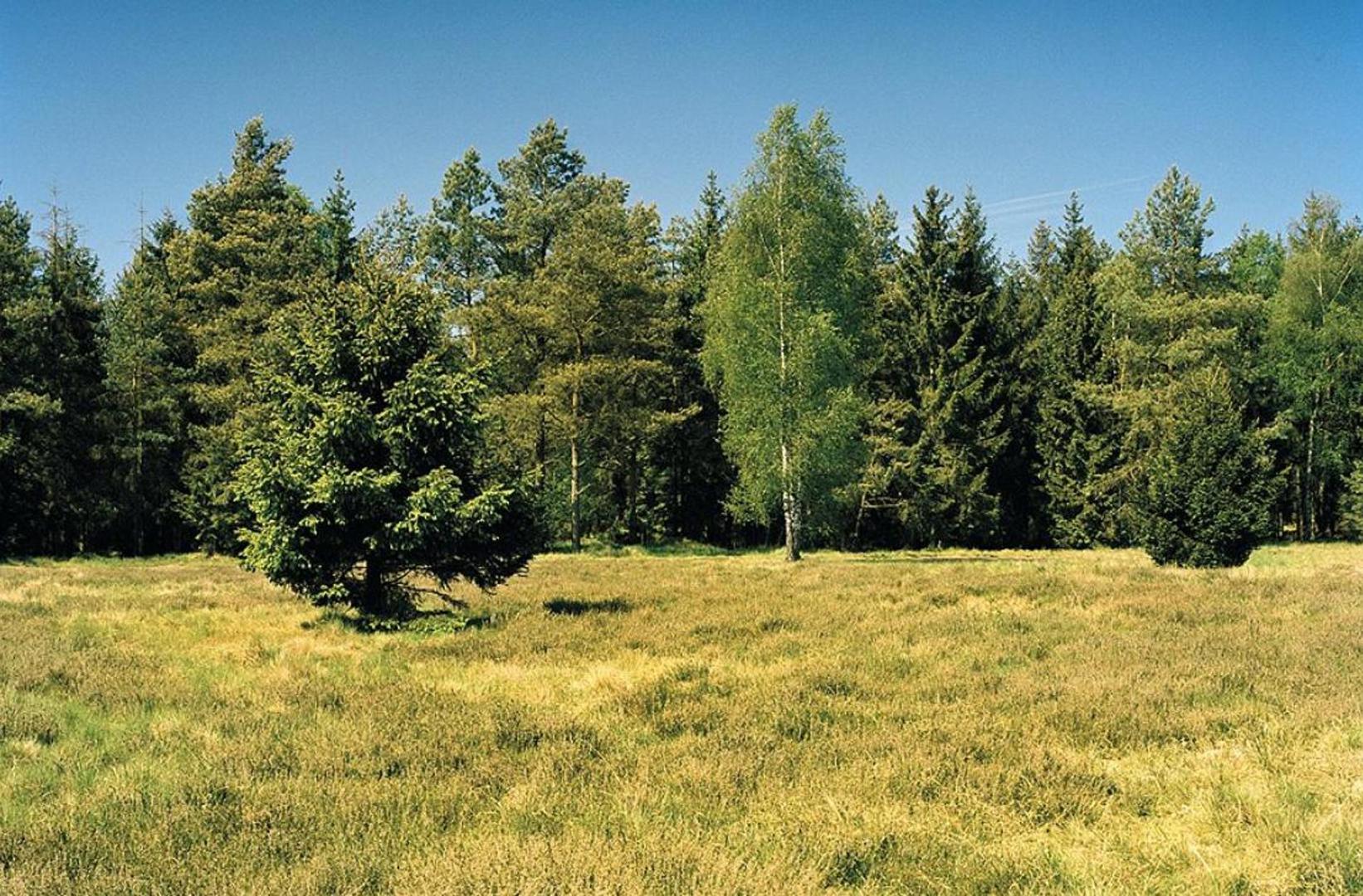 Vidite li skrivenog snajperista?