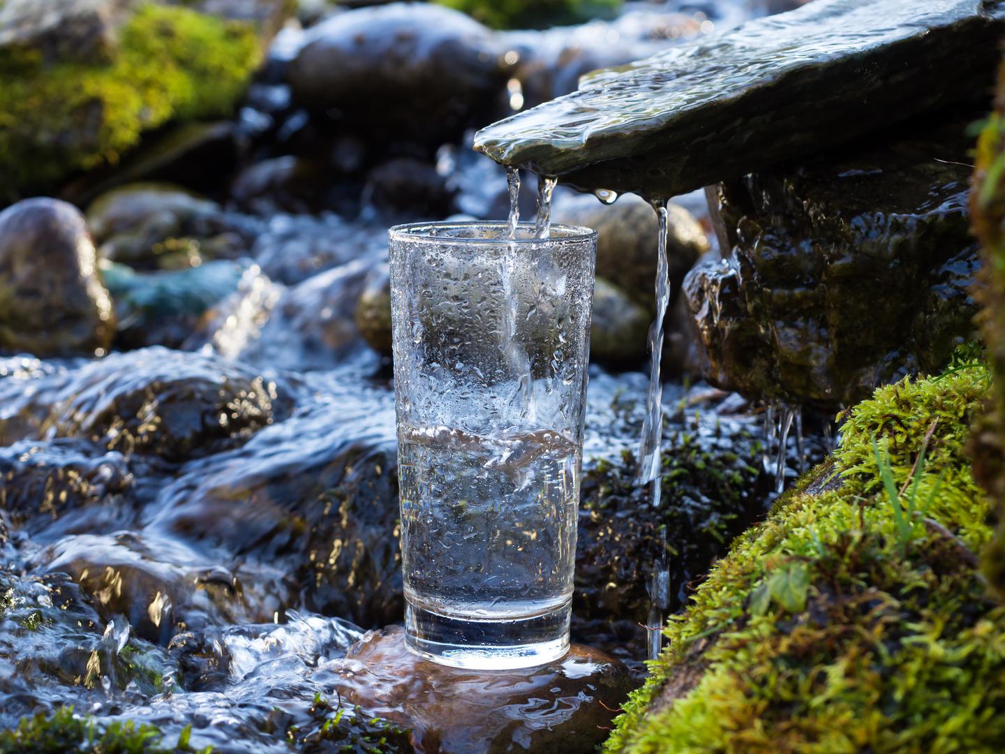 U Americi je sve veći trend prodavati prirodnu izvorsku vodu koja nije prošla nikakve procese obrade, što kod nas nije neobično jer u mnogim selima stanovnici piju vodu iz bunara.