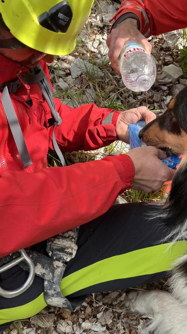 Riječ je o škotskom ovčaru koji se, tijekom šetnje sa vlasnikom, odvojio na izrazito nepristupačan i težak teren na području Sisola nakon čega se više nije mogao vratiti, a vlasnik do njega nije mogao pristupiti.