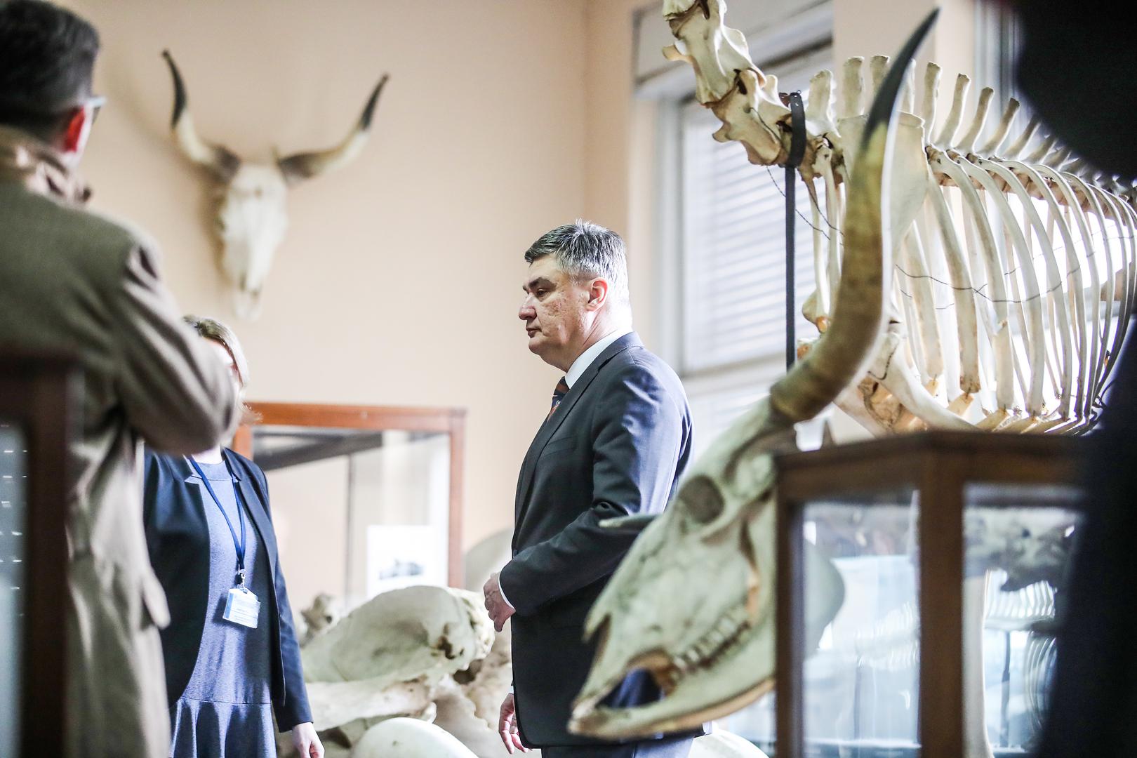 26.01.2024.., Zagreb - Predsjednik Republike Zoran Milanovic posjetio je Veterinarski fakultet Sveucilista u Zagrebu povodom obiljezavanja Medjunarodnog dana obrazovanja. Photo: Slavko Midzor/PIXSELL