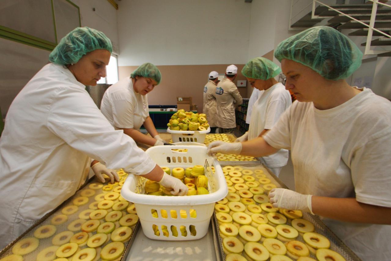 '20.10.2010., Zagreb - Velimir Hunjak, Hrvoje Bartolic,  Ivicu Madunovic i Domagoj Skledar, mladi poduzetnici koji proizvode cips od jabuke u svojoj firmi Velis u Svetoj Nedjelji.  Photo Tomislav Mile