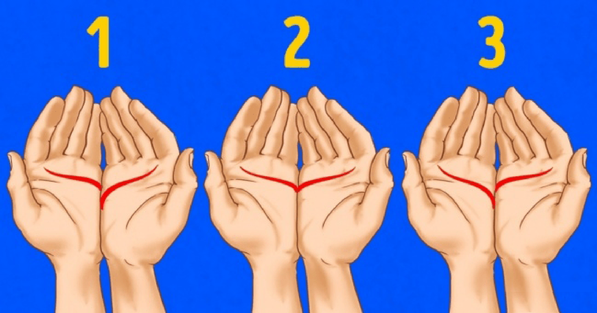 Pogled u vaš dlan može vam otkriti mnogo. Gledanje u dlanove drevna je vještina kojom su se, između ostalog, proricale i budućnosti. 
Doznajte što vaše linije govore o vama...