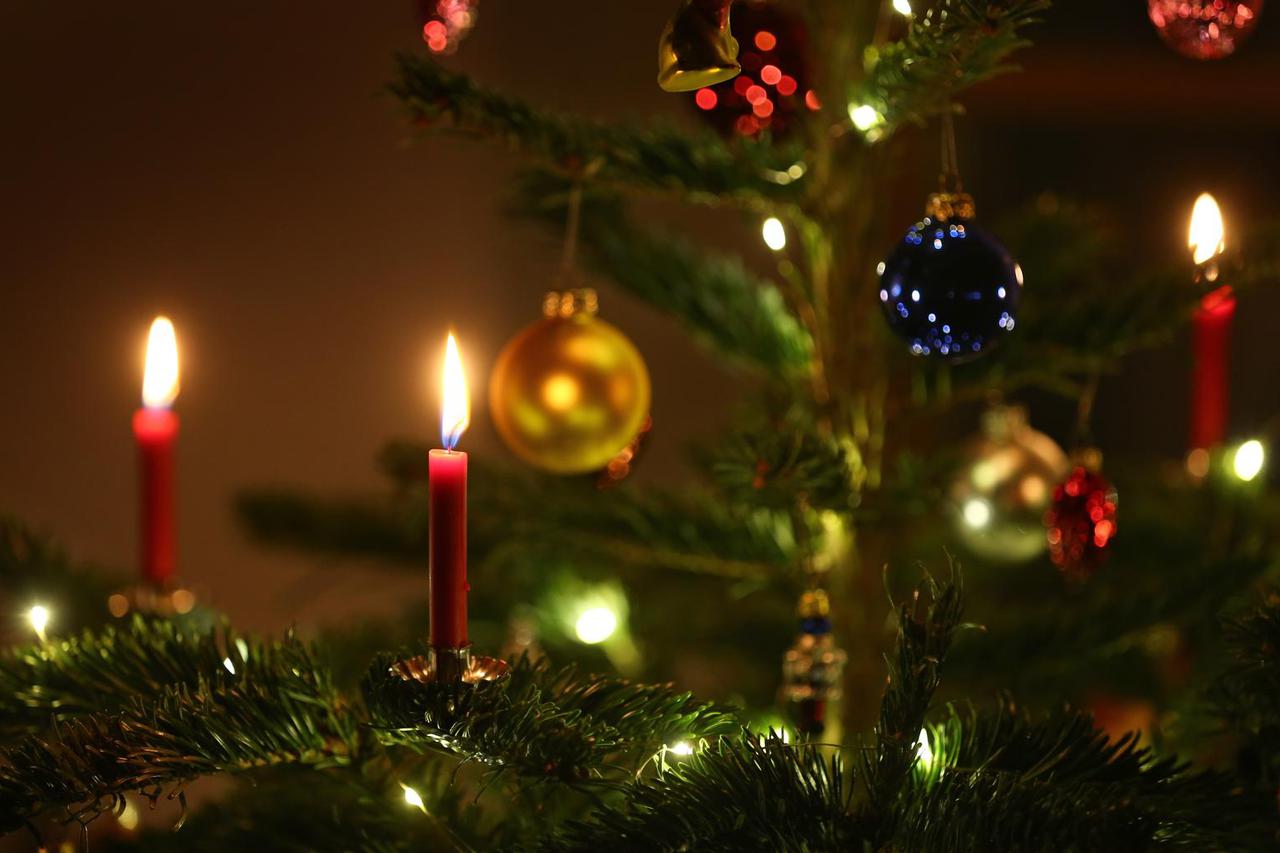 Decorated Christmas tree