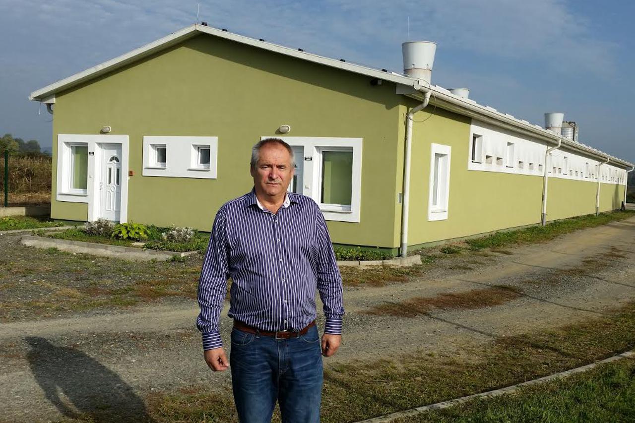 Đuro Vučetić,svinjogojstvo,Merkur