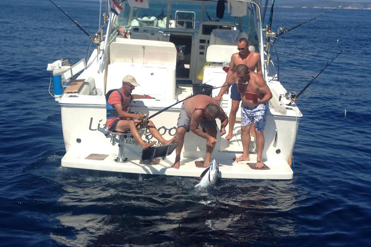 Big game,lov na Tune,Komiža,Vis