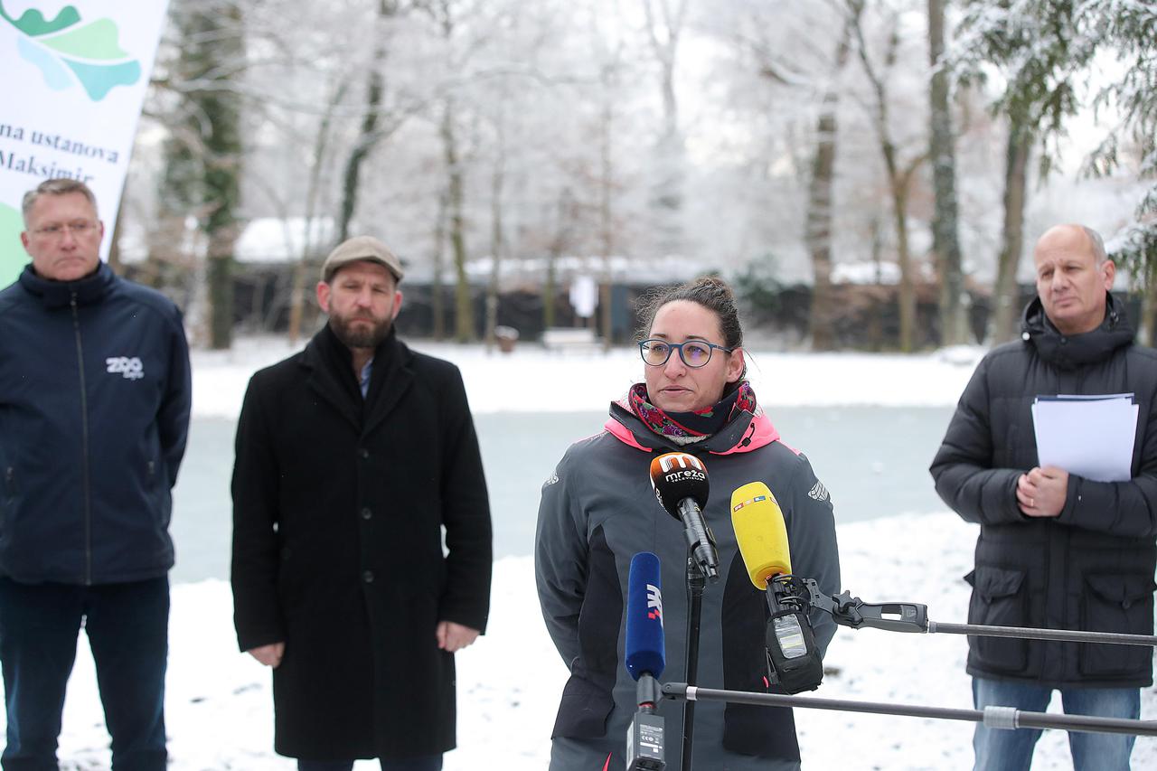 Par crvenokljunih labudova iz Sesvetske Selnice dobio novi dom na Maksimirskom jezeru