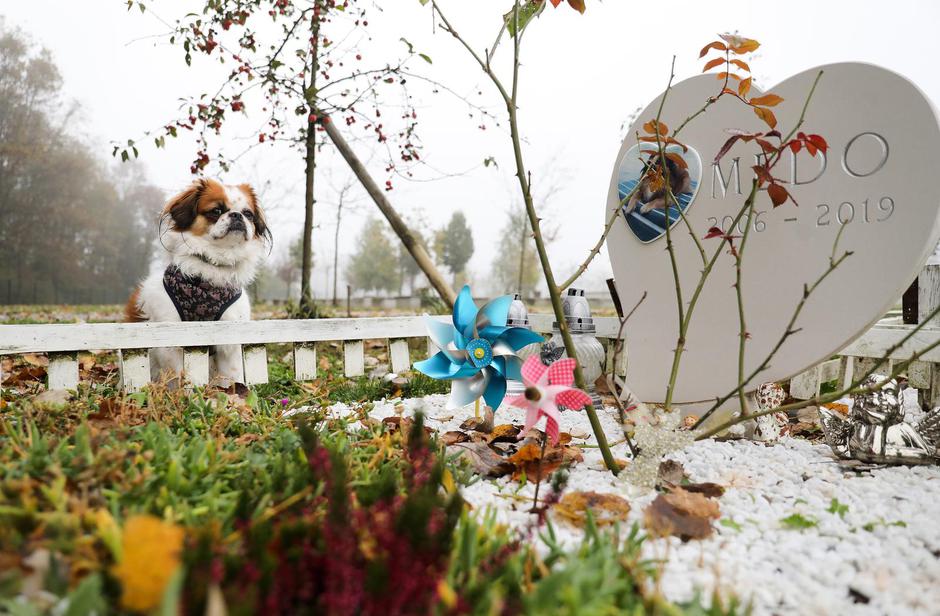 Zagreb: Groblje kućnih ljubimaca Spomengaj u Dumovcu na dan Svih svetih