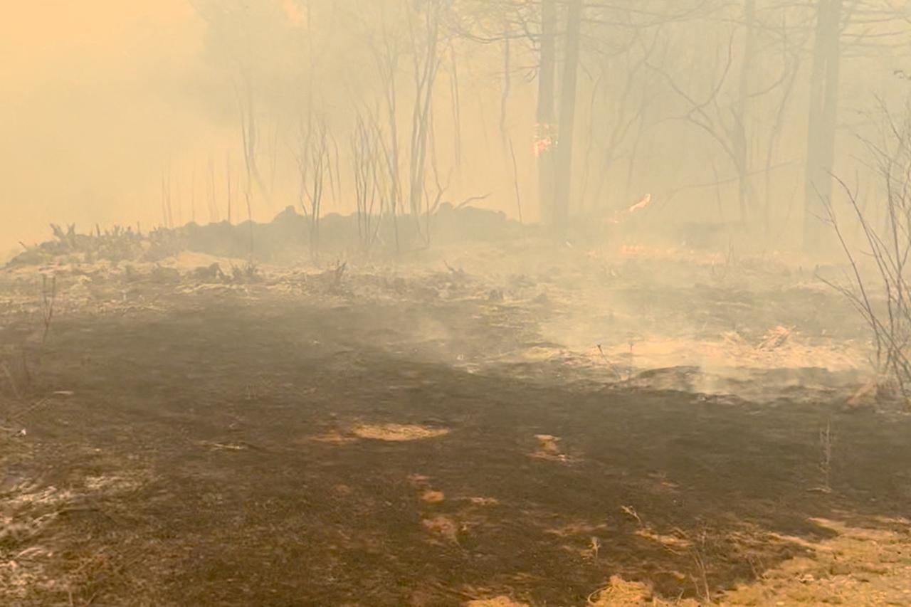 Wildfire in Slovenia