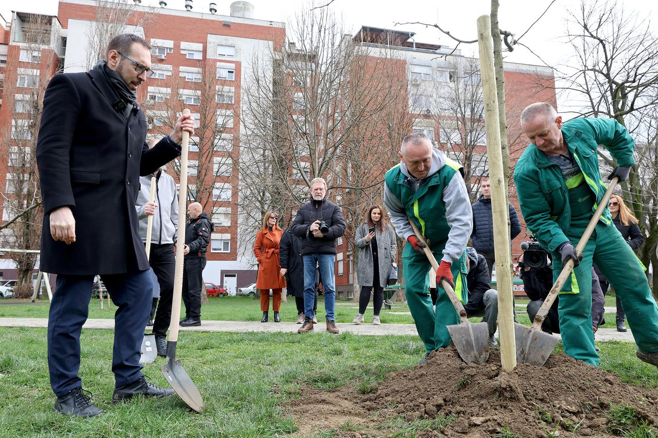 Zagreb: Gradonačelnik Tomislav Tomašević na obilježavanju završetka sadnje 8000 stabala