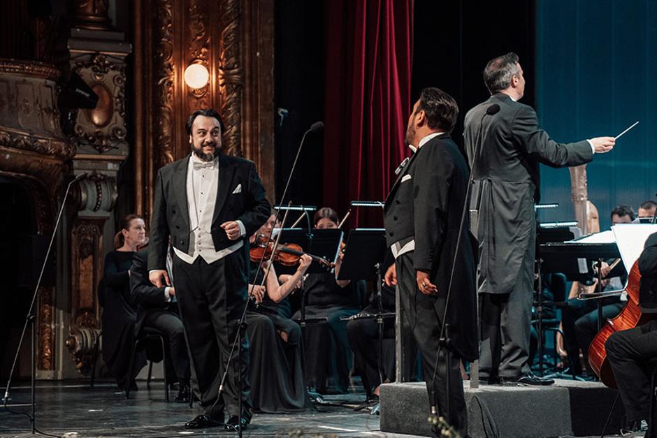 Tomić & Co.