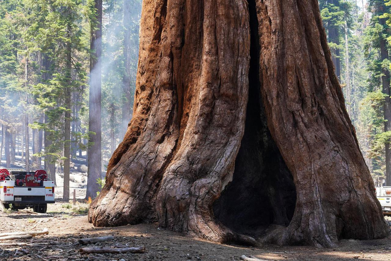 Washburn Fire burns near Yosemite National Park