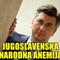 Avatar Nilski konj