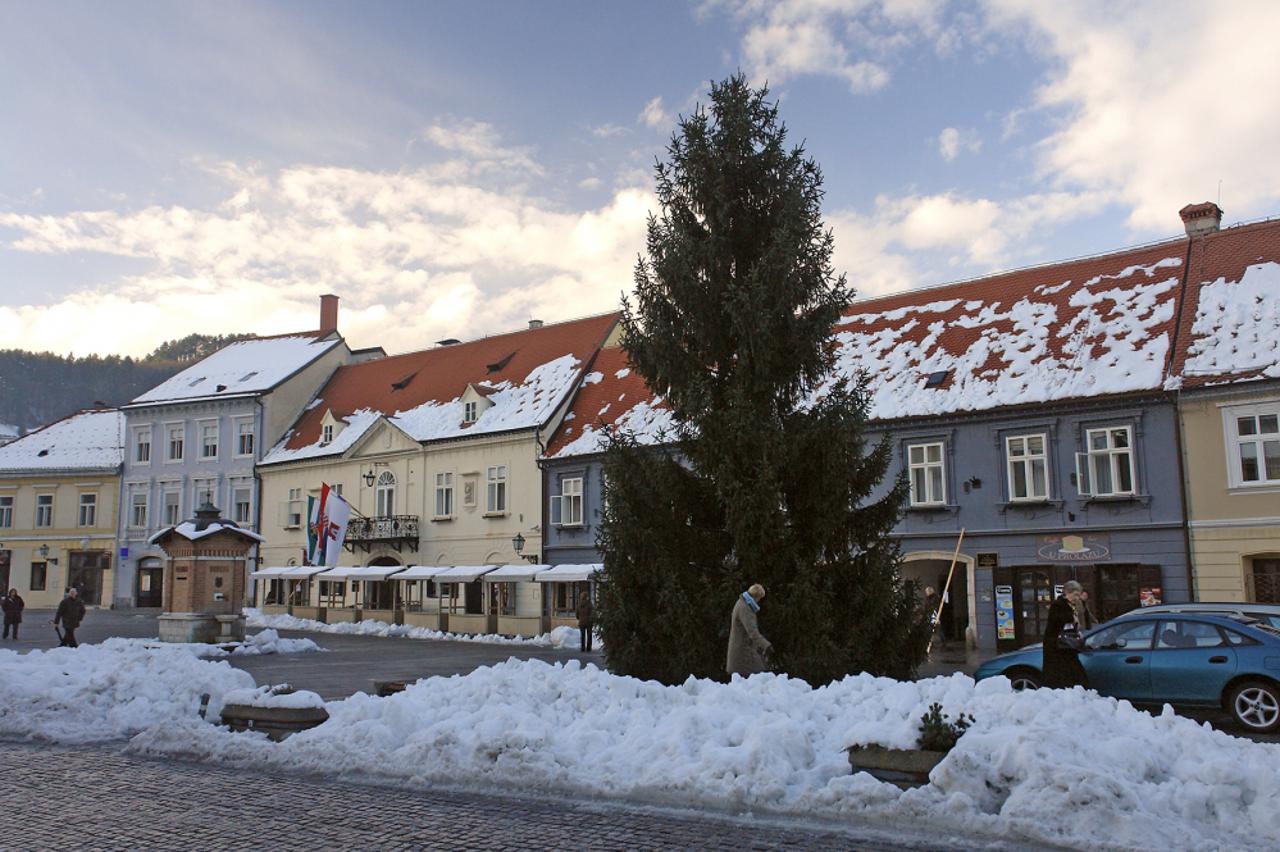 Bor iz dvorišta Krešimira Kotrla na Trg kralja Tomislava postavljen je u utorak