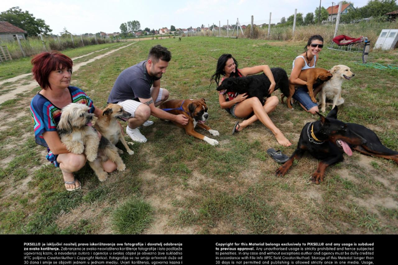 '26.07.2013., Bilje - Prvi pansion za pse u Bilju, kojeg je otvorila Osjecanka Renata Zilic, gdje vlasnici dovode pse na cjelodnevni ili visednevni boravak. Photo: Marko Mrkonjic/PIXSELL'