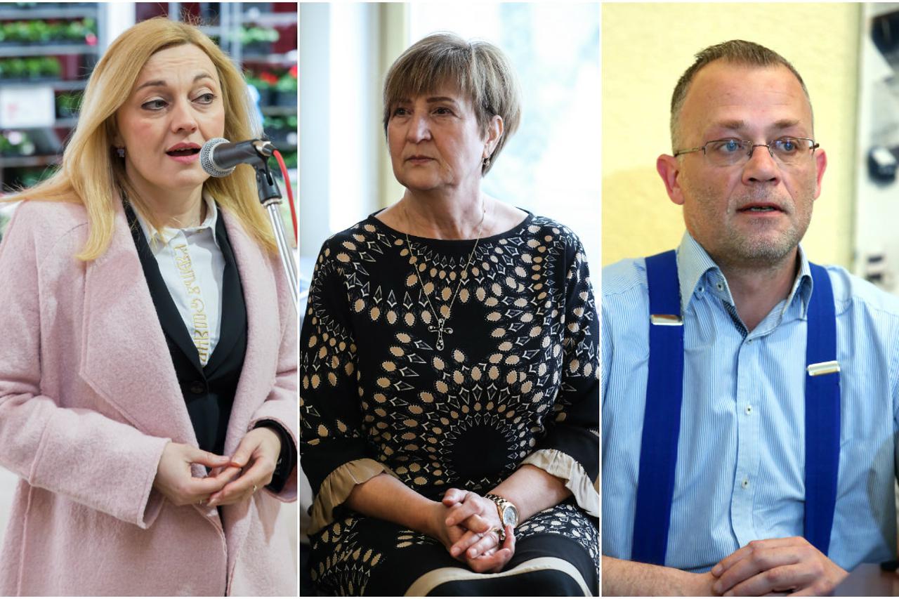 Petir, Tomašić i Hasanbegović