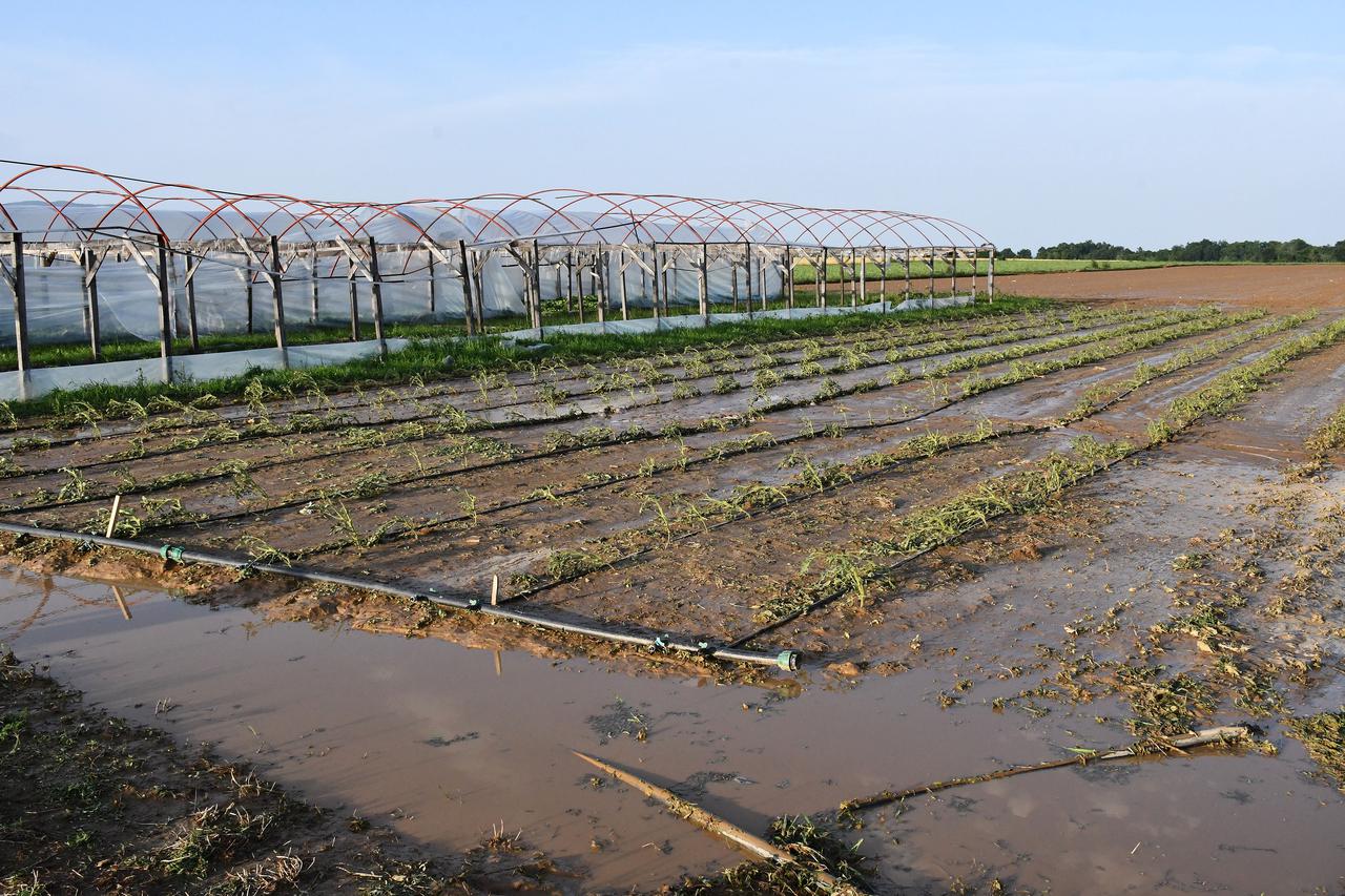 Snažno nevrijeme praćeno tučom poharalo Požegu i okolna sela