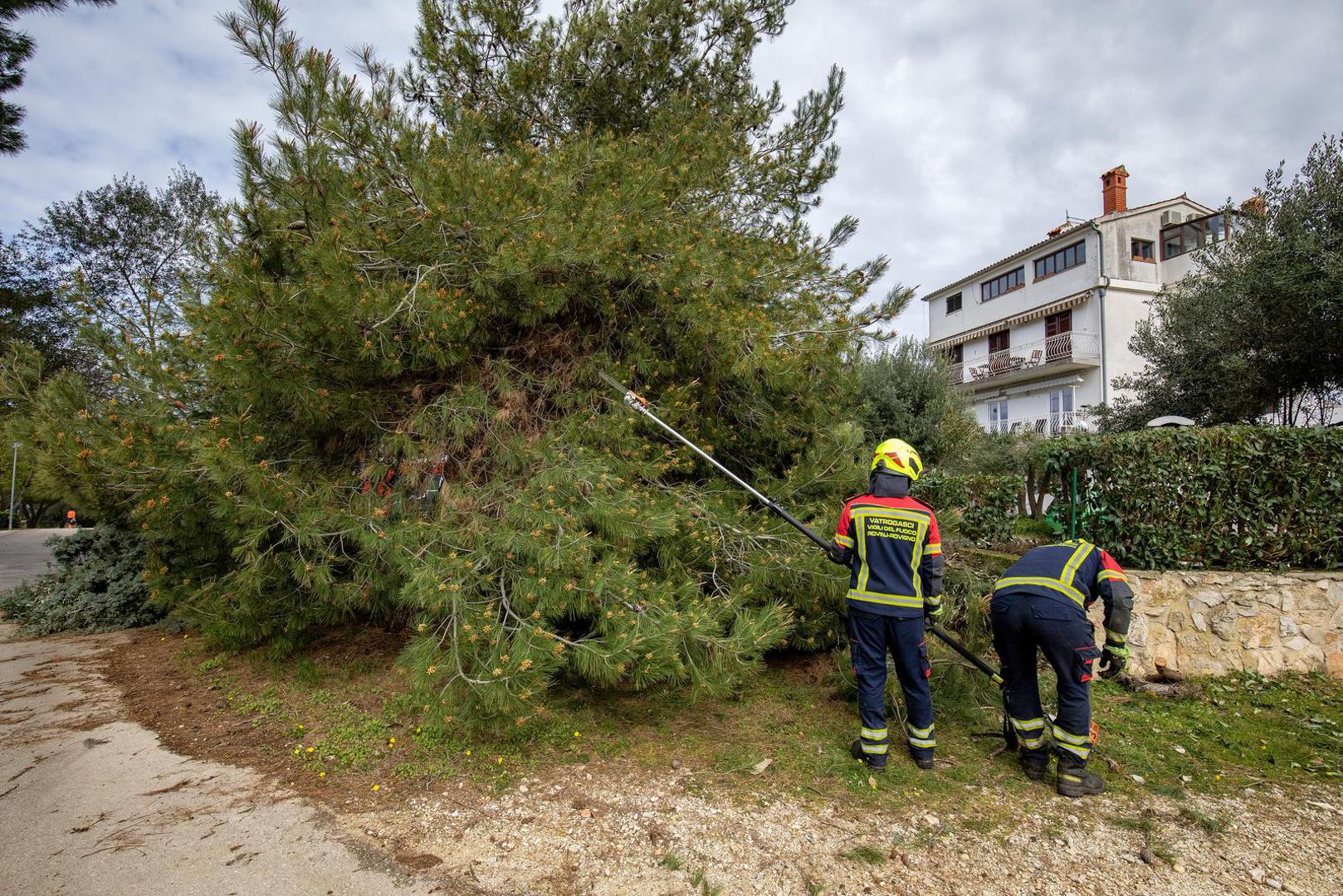 27.03.2023., Rovinj - Steta na ulicama grada koje je poharalo snazno nevrijeme. Photo: Srecko Niketic/PIXSELL