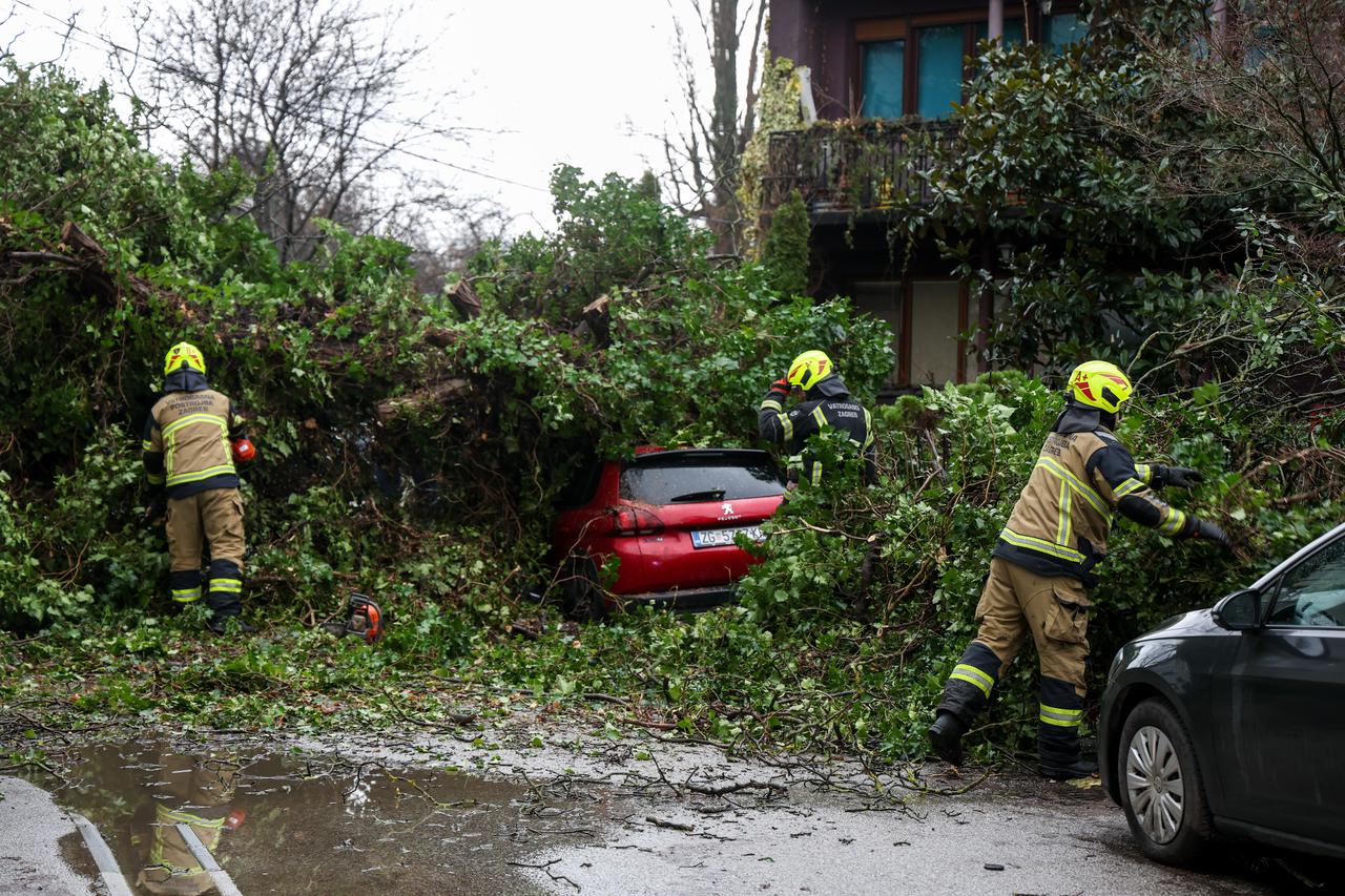 Zagreb: Drvo palo na automobile