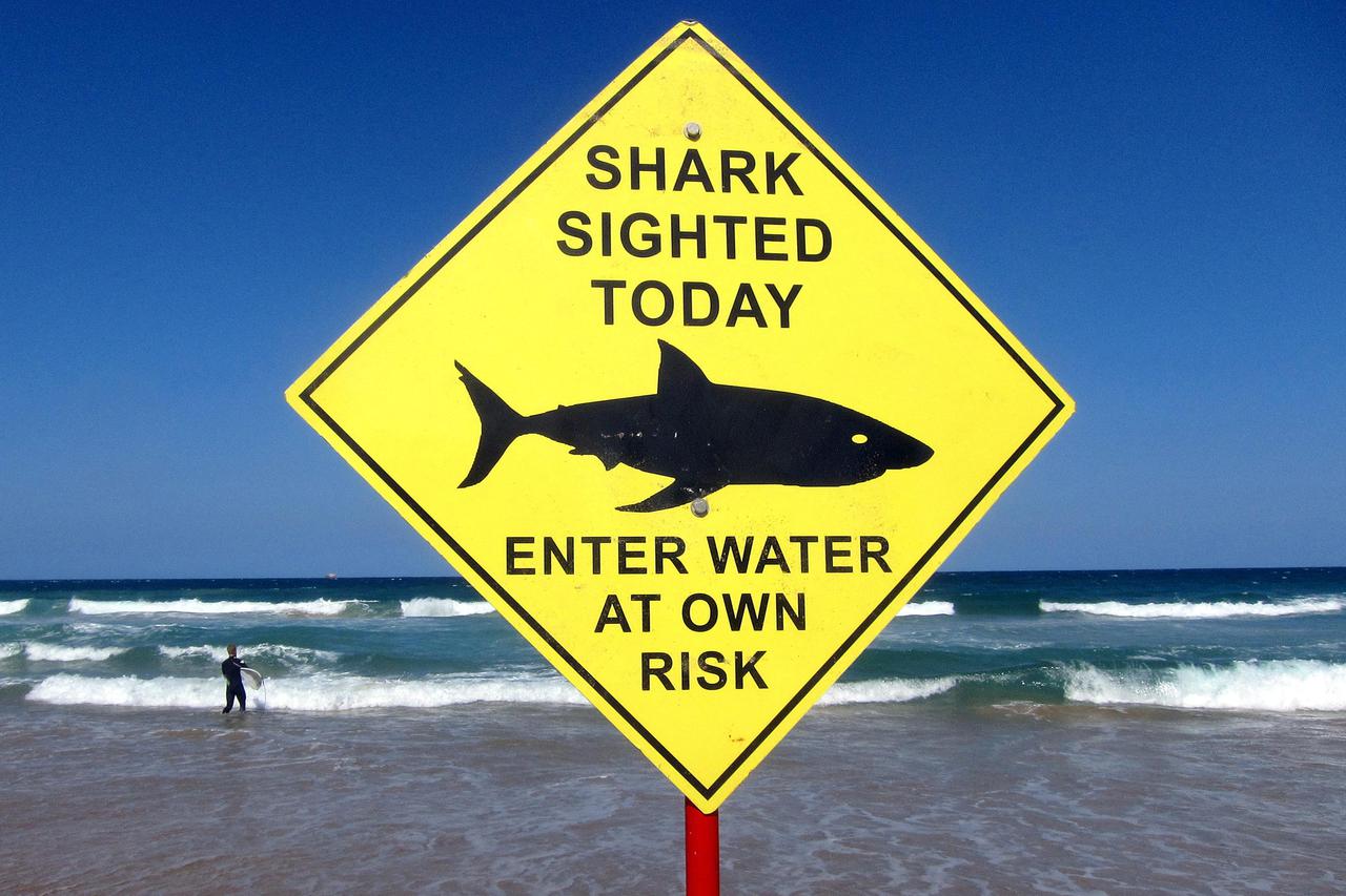 FILE PHOTO: A surfer carries his board into the water next to a sign declaring a shark sighting on Sydney's Manly Beach Australia